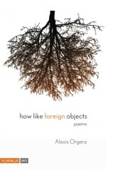 foreign objects
